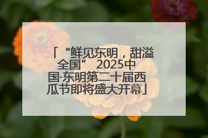 “鲜见东明，甜溢全国” 2025中国·东明第二十届西瓜节即将盛大开幕