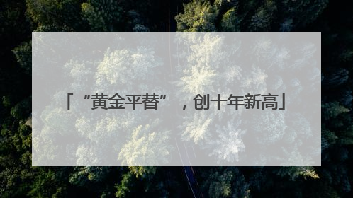 “黄金平替”，创十年新高