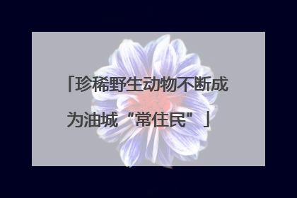 珍稀野生动物不断成为油城“常住民”