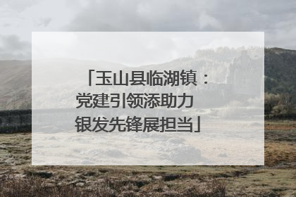 玉山县临湖镇：党建引领添助力 银发先锋展担当