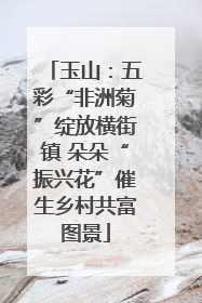 玉山：五彩“非洲菊”绽放横街镇 朵朵“振兴花”催生乡村共富图景