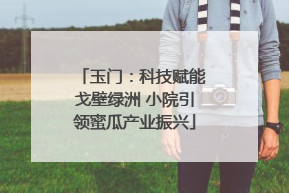 玉门：科技赋能戈壁绿洲 小院引领蜜瓜产业振兴