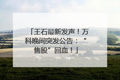 王石最新发声！万科晚间突发公告：“售股”回血！