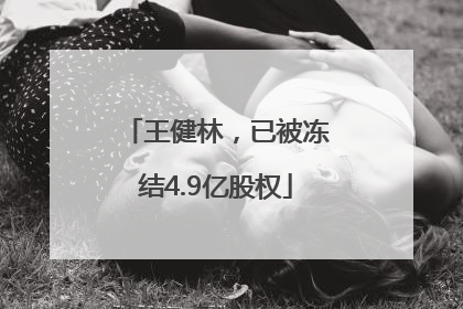 王健林，已被冻结4.9亿股权