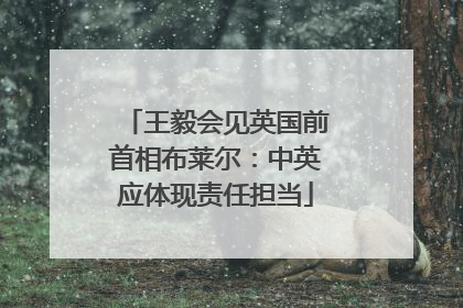 王毅会见英国前首相布莱尔：中英应体现责任担当