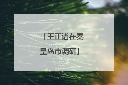 王正谱在秦皇岛市调研