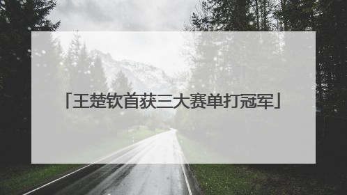 王楚钦首获三大赛单打冠军