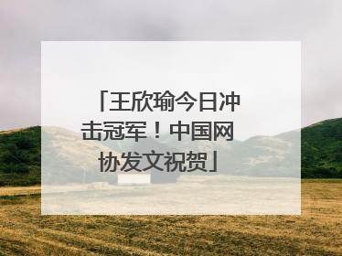 王欣瑜今日冲击冠军！中国网协发文祝贺