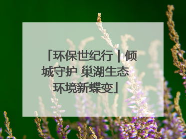 环保世纪行｜倾城守护 巢湖生态环境新蝶变
