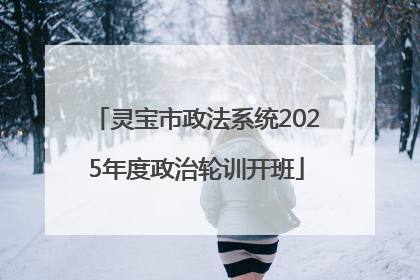 灵宝市政法系统2025年度政治轮训开班