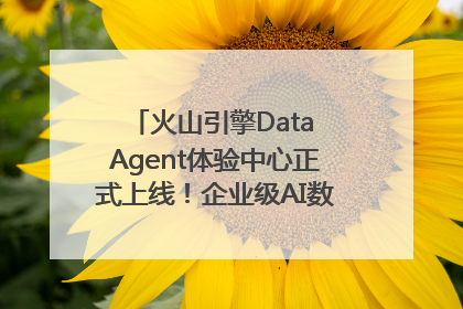 火山引擎Data Agent体验中心正式上线！企业级AI数据专家触手可及