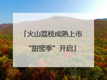火山荔枝成熟上市 “甜蜜季”开启