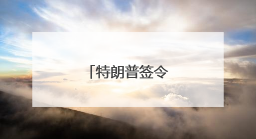 特朗普签令“放行”