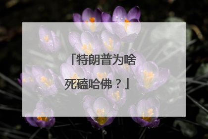 特朗普为啥死磕哈佛？