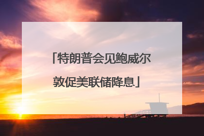 特朗普会见鲍威尔 敦促美联储降息