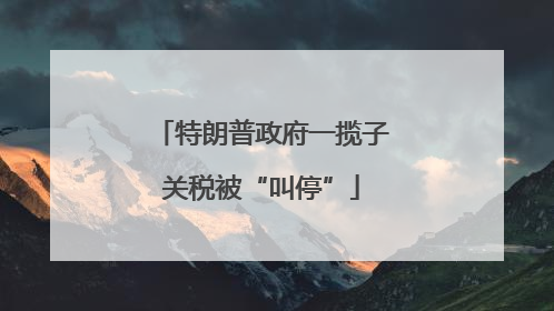 特朗普政府一揽子关税被“叫停”