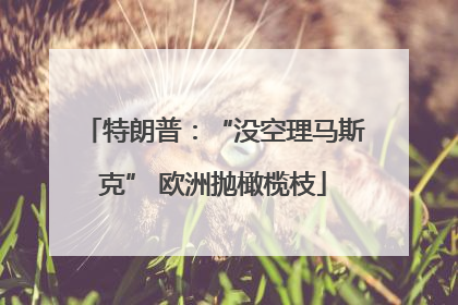 特朗普：“没空理马斯克” 欧洲抛橄榄枝