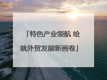 特色产业领航 绘就外贸发展新画卷