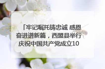 牢记嘱托铸忠诚 感恩奋进谱新篇，西盟县举行庆祝中国共产党成立104周年文艺晚会