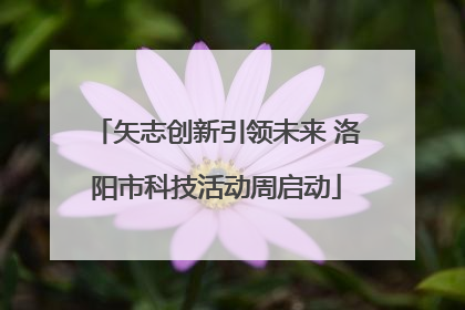 矢志创新引领未来 洛阳市科技活动周启动