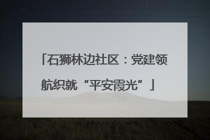 石狮林边社区：党建领航织就“平安霞光”