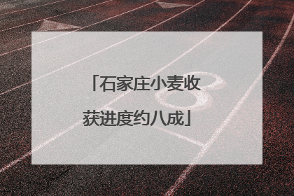 石家庄小麦收获进度约八成