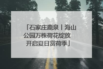 石家庄鹿泉丨海山公园万株荷花绽放 开启夏日赏荷季
