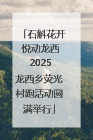 石斛花开 悦动龙西 2025龙西乡荧光村跑活动圆满举行