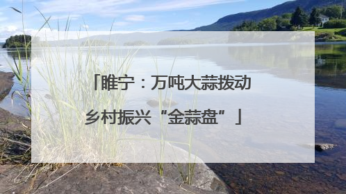 睢宁：万吨大蒜拨动乡村振兴“金蒜盘”