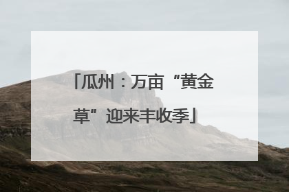 瓜州：万亩“黄金草”迎来丰收季