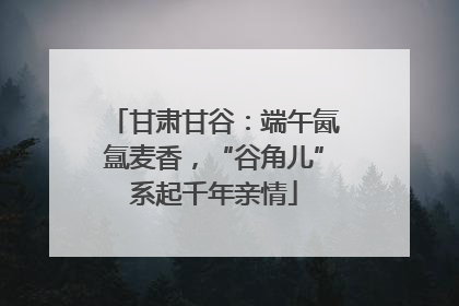 甘肃甘谷：端午氤氲麦香，“谷角儿”系起千年亲情
