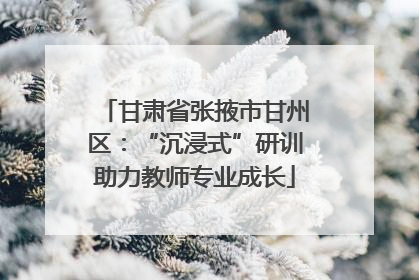 甘肃省张掖市甘州区：“沉浸式”研训助力教师专业成长