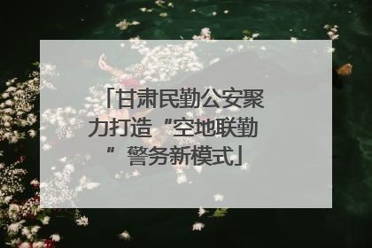 甘肃民勤公安聚力打造“空地联勤”警务新模式