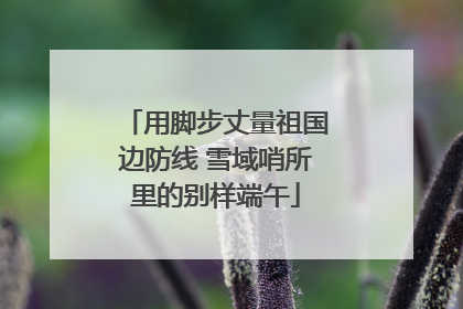 用脚步丈量祖国边防线 雪域哨所里的别样端午