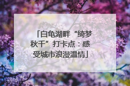 白龟湖畔“绮梦秋千”打卡点：感受城市浪漫温情