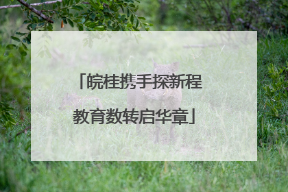 皖桂携手探新程 教育数转启华章