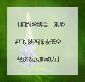相约丝博会｜乘势起飞 陕西探索低空经济发展新动力