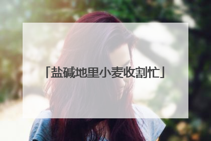 盐碱地里小麦收割忙