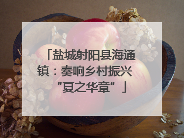 盐城射阳县海通镇：奏响乡村振兴“夏之华章”