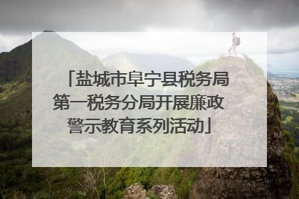 盐城市阜宁县税务局第一税务分局开展廉政警示教育系列活动