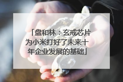 盘和林：玄戒芯片为小米打好了未来十年企业发展的基础
