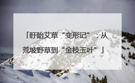 盱眙艾草“变形记”：从荒坡野草到“金枝玉叶”