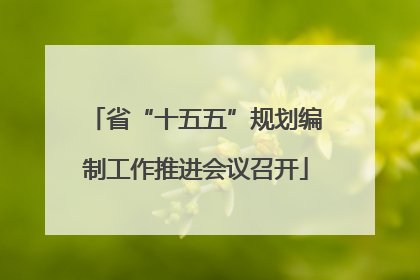 省“十五五”规划编制工作推进会议召开