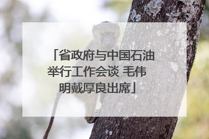 省政府与中国石油举行工作会谈 毛伟明戴厚良出席
