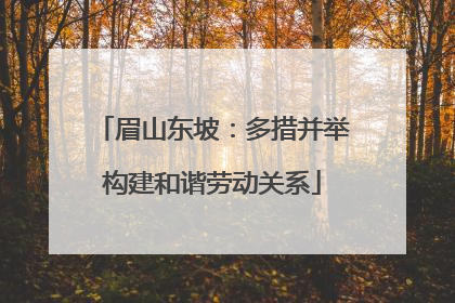 眉山东坡：多措并举构建和谐劳动关系