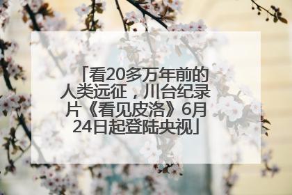 看20多万年前的人类远征，川台纪录片《看见皮洛》6月24日起登陆央视