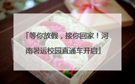 等你放假，接你回家！河南暑运校园直通车开启