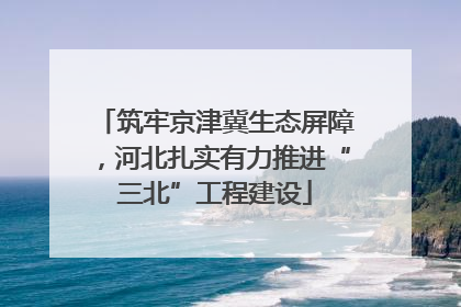 筑牢京津冀生态屏障，河北扎实有力推进“三北”工程建设