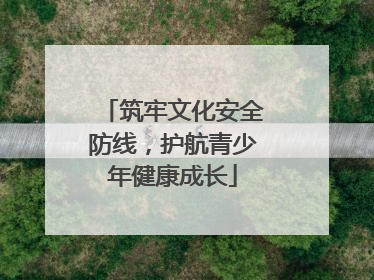 筑牢文化安全防线，护航青少年健康成长