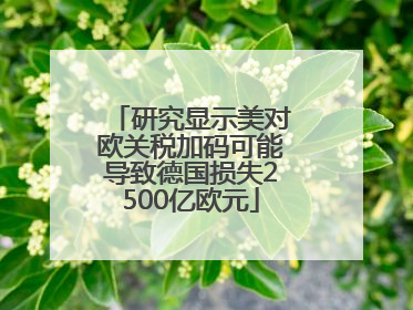 研究显示美对欧关税加码可能导致德国损失2500亿欧元
